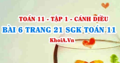 Bài 6 trang 21 SGK Toán 11 tập 1 Cánh Diều